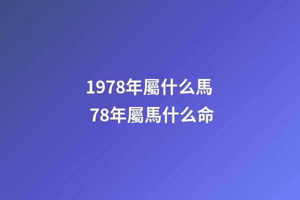 1978年屬什么馬 78年屬馬什么命-第1張-觀點-玄機派